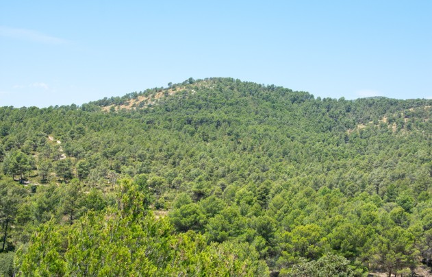 Reventa - Villa - Onil