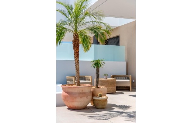 New Build - House - Dolores - Sector 3