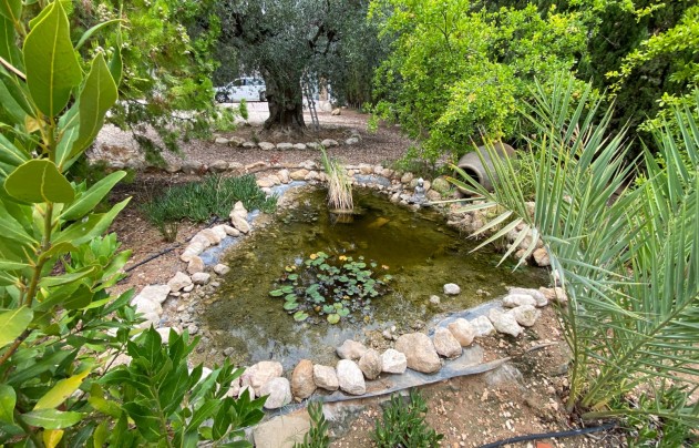 Reventa - Villa - Sax