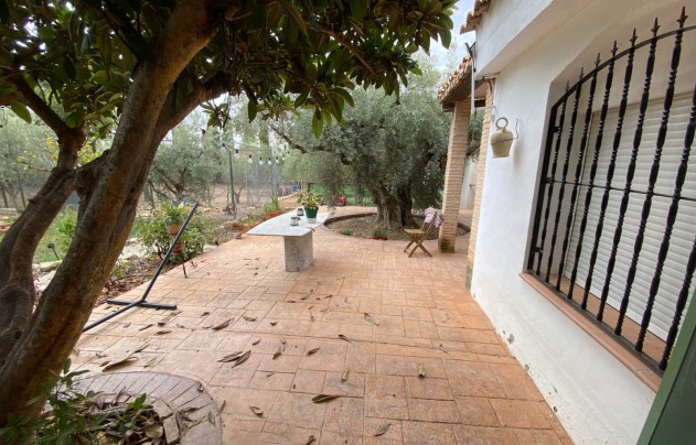 Reventa - Villa - Sax