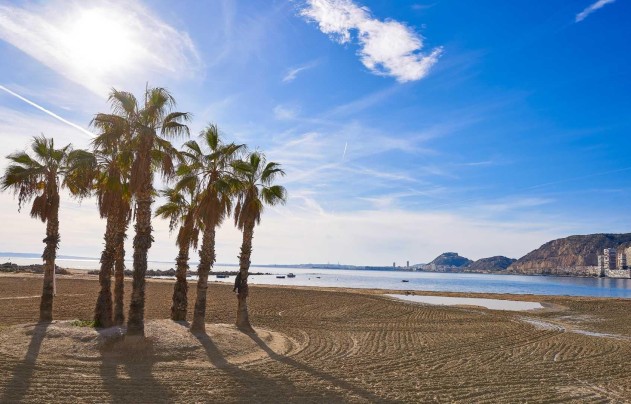 New Build - Villa - Els Poblets - Partida Barranquets