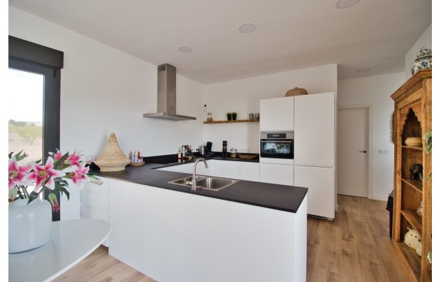 Herverkoop - Villa - Pinoso