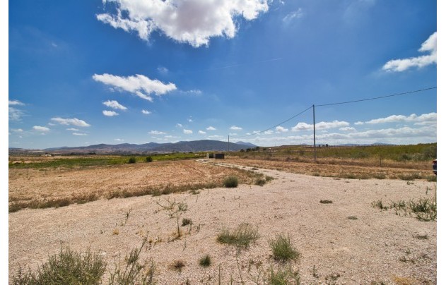 Herverkoop - Villa - Pinoso