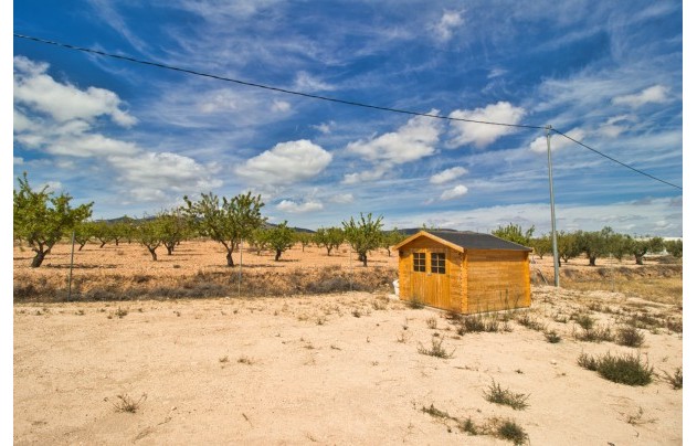 Herverkoop - Villa - Pinoso