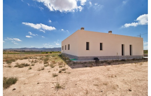 Herverkoop - Villa - Pinoso