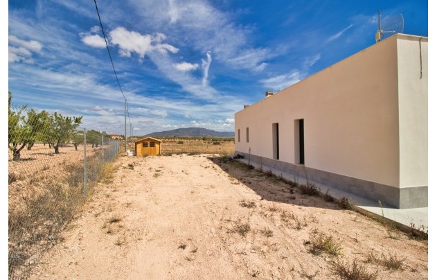 Herverkoop - Villa - Pinoso