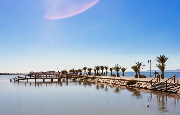 Nieuwbouw Woningen - Villa - Pilar de la Horadada