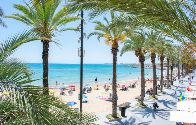 Reventa - Apartment - Torrevieja - Playa del Cura