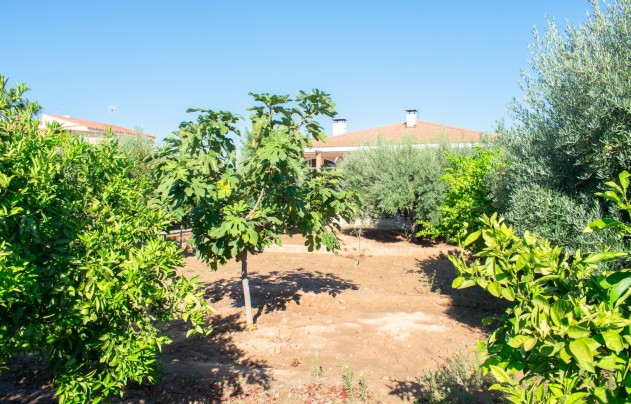 Herverkoop - Villa - San Vicente de Raspeig - San Vicente del Raspeig