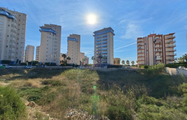 Reventa - Land - Guardamar del Segura