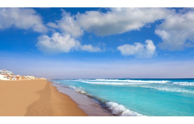 Reventa - Land - Guardamar del Segura