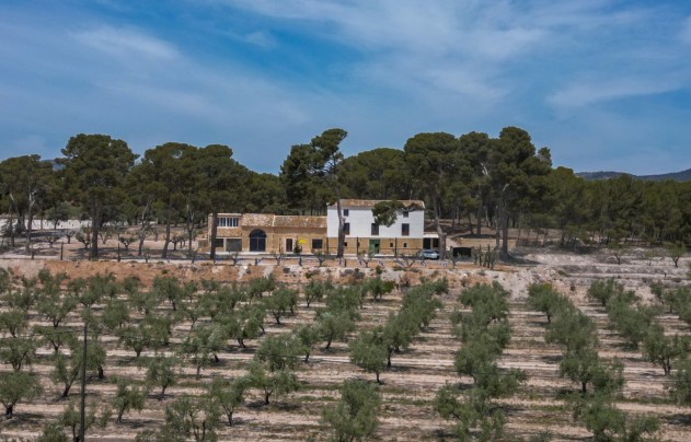 Resale - Others - Castalla