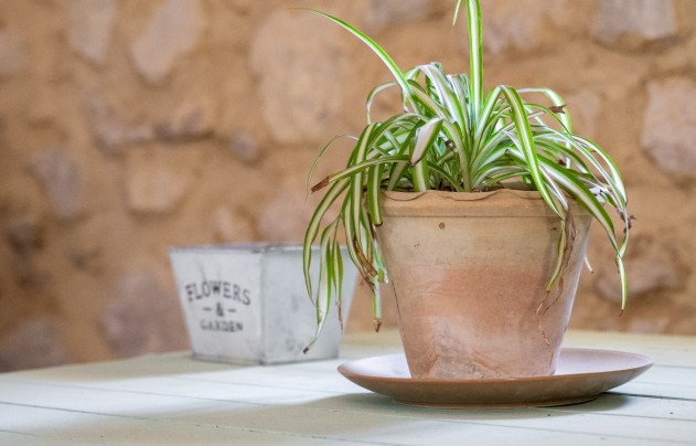 Resale - Others - Castalla