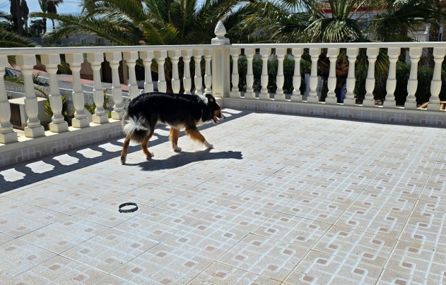 Resale - Villa - Torrevieja - El Chaparral