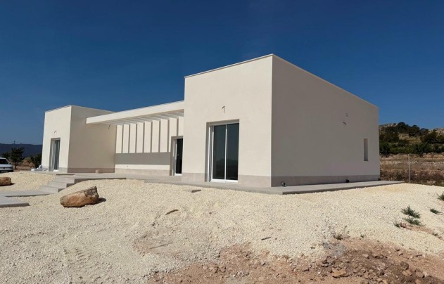 Nouvelle construction - Villa - Pinoso - Camino Del Prado