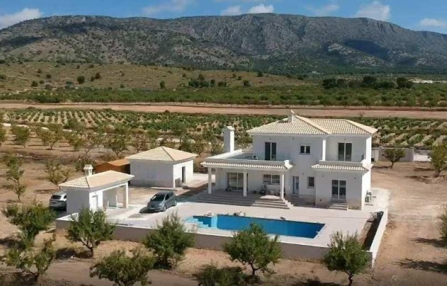 Nouvelle construction - Villa - Pinoso - Camino Del Prado