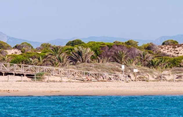 Nouvelle construction - Apartment - Guardamar del Segura - Pueblo