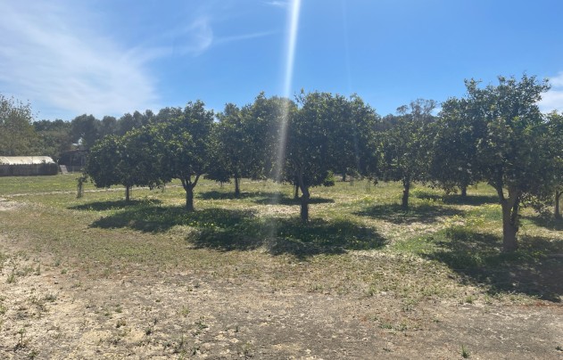 Resale - Villa - Guardamar del Segura - Valencia