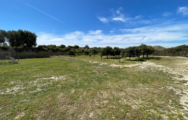 Resale - Villa - Guardamar del Segura - Valencia