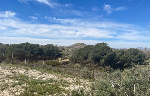 Resale - Villa - Guardamar del Segura - Valencia