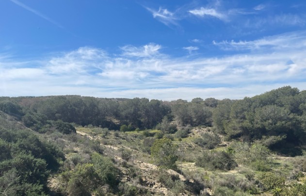 Resale - Villa - Guardamar del Segura - Valencia