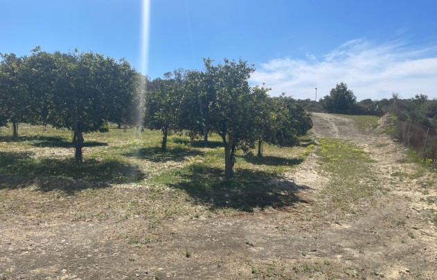 Resale - Villa - Guardamar del Segura - Valencia