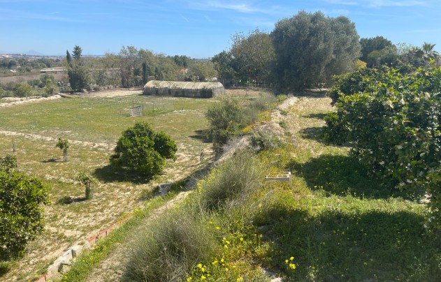 Resale - Villa - Guardamar del Segura - Valencia