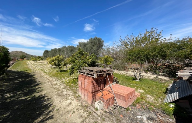 Resale - Villa - Guardamar del Segura - Valencia