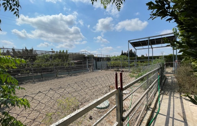 Herverkoop - Villa - San Fulgencio - La Marina