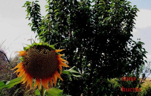 Revente - Villa - Gea Truyols - Gea y Trujols