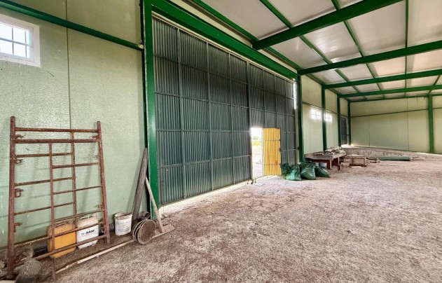 Resale - Villa - San Miguel de Salinas