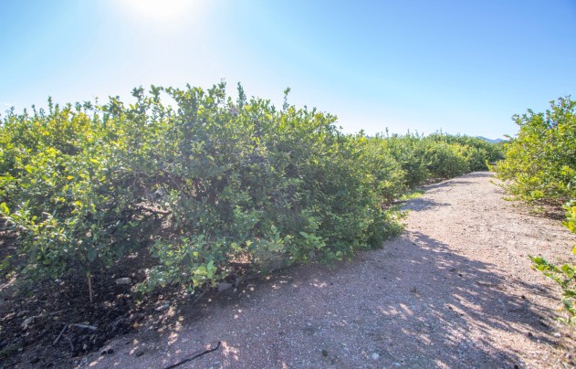 Reventa - Villa - Alicante