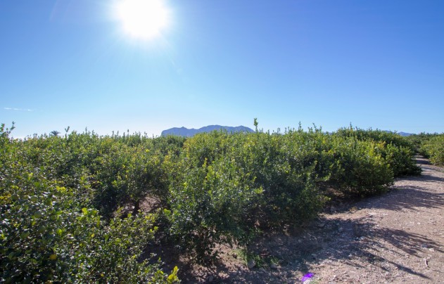 Reventa - Villa - Alicante