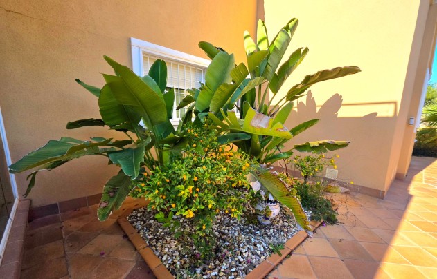 Revente - Villa - Torrevieja - Cabo Cervera