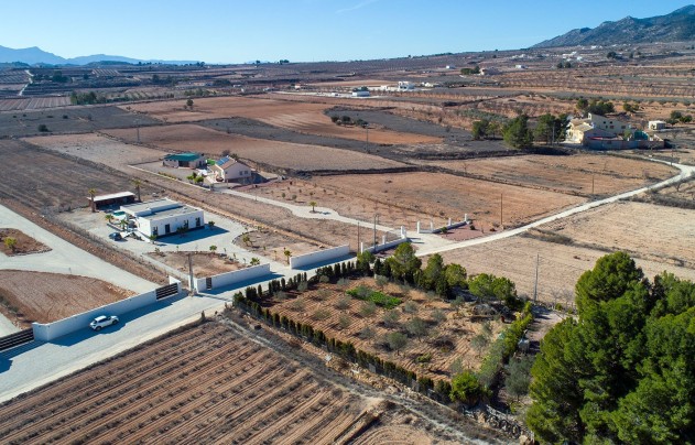 Resale - Villa - Pinoso - Campo