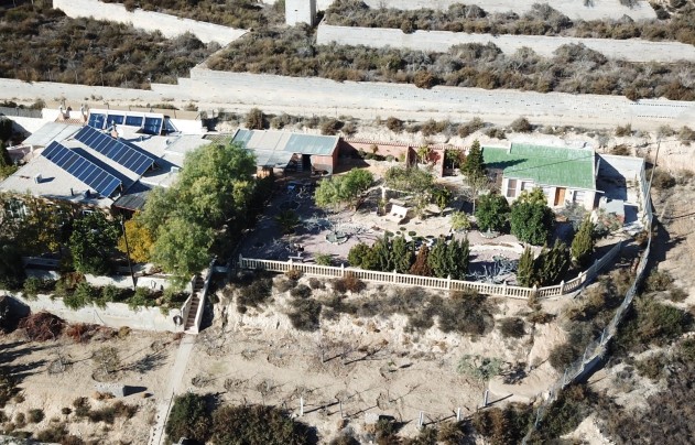 Revente - Villa - Crevillente