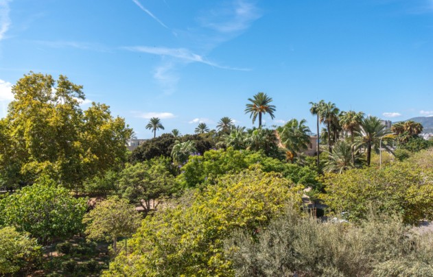 Resale - Apartment - Palma de Mallorca - Mallorca