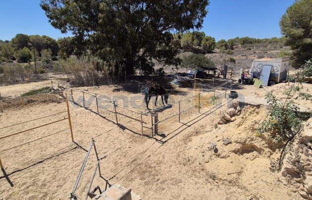 Resale - Villa - Torrevieja - Los Balcones