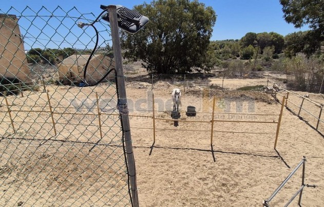 Resale - Villa - Torrevieja - Los Balcones