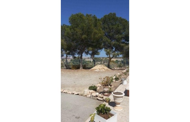 Resale - Villa - Torrevieja - Los Balcones