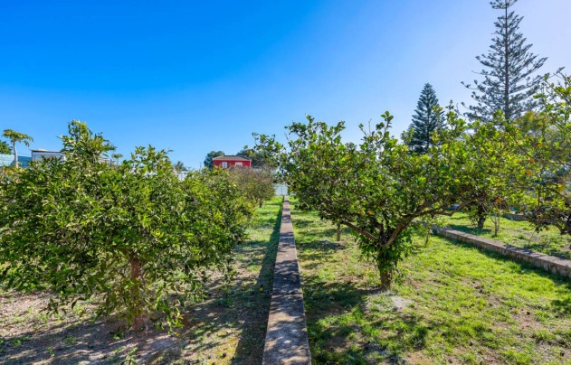 Revente - Villa - Los Montesinos