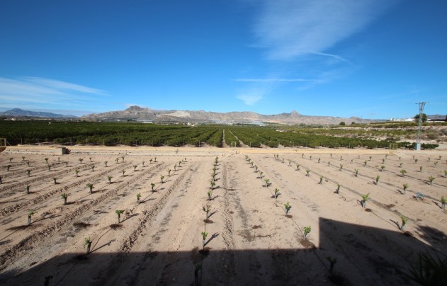 Reventa - Finca / Country House - Murcia - Costa Blanca Sur