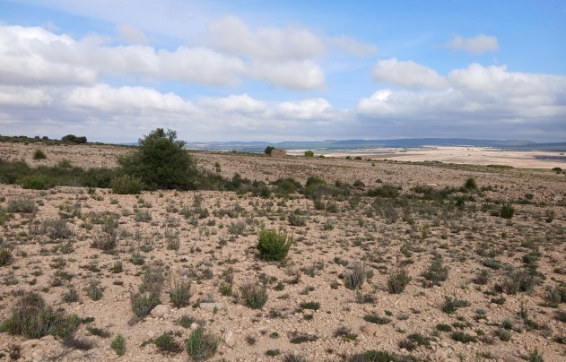 Resale - Land - Yecla