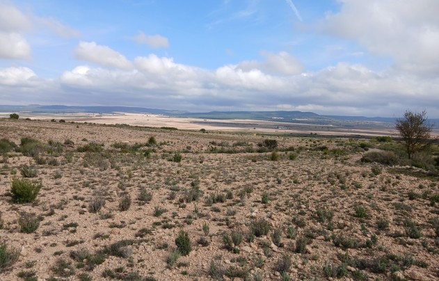 Resale - Land - Yecla