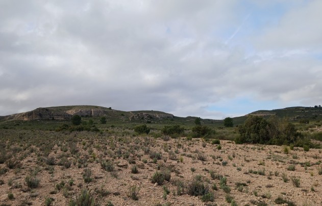 Resale - Land - Yecla