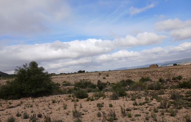 Resale - Land - Yecla