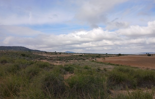 Resale - Land - Yecla