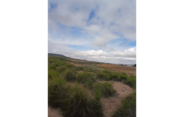 Resale - Land - Yecla