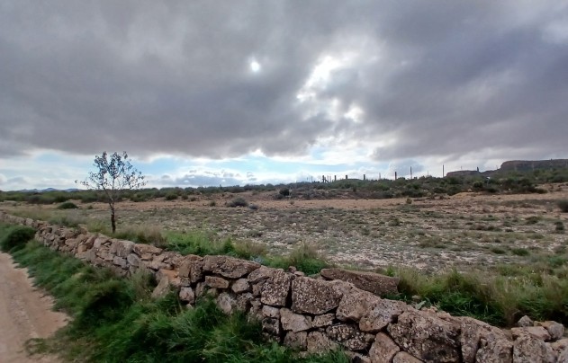 Resale - Land - Yecla