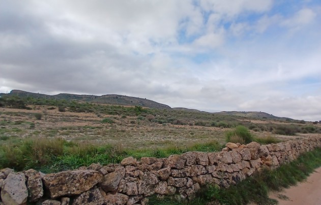 Resale - Land - Yecla